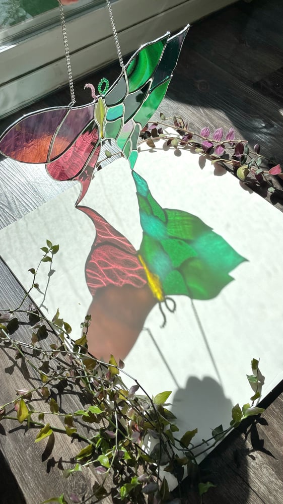 Image of Leafy Butterfly