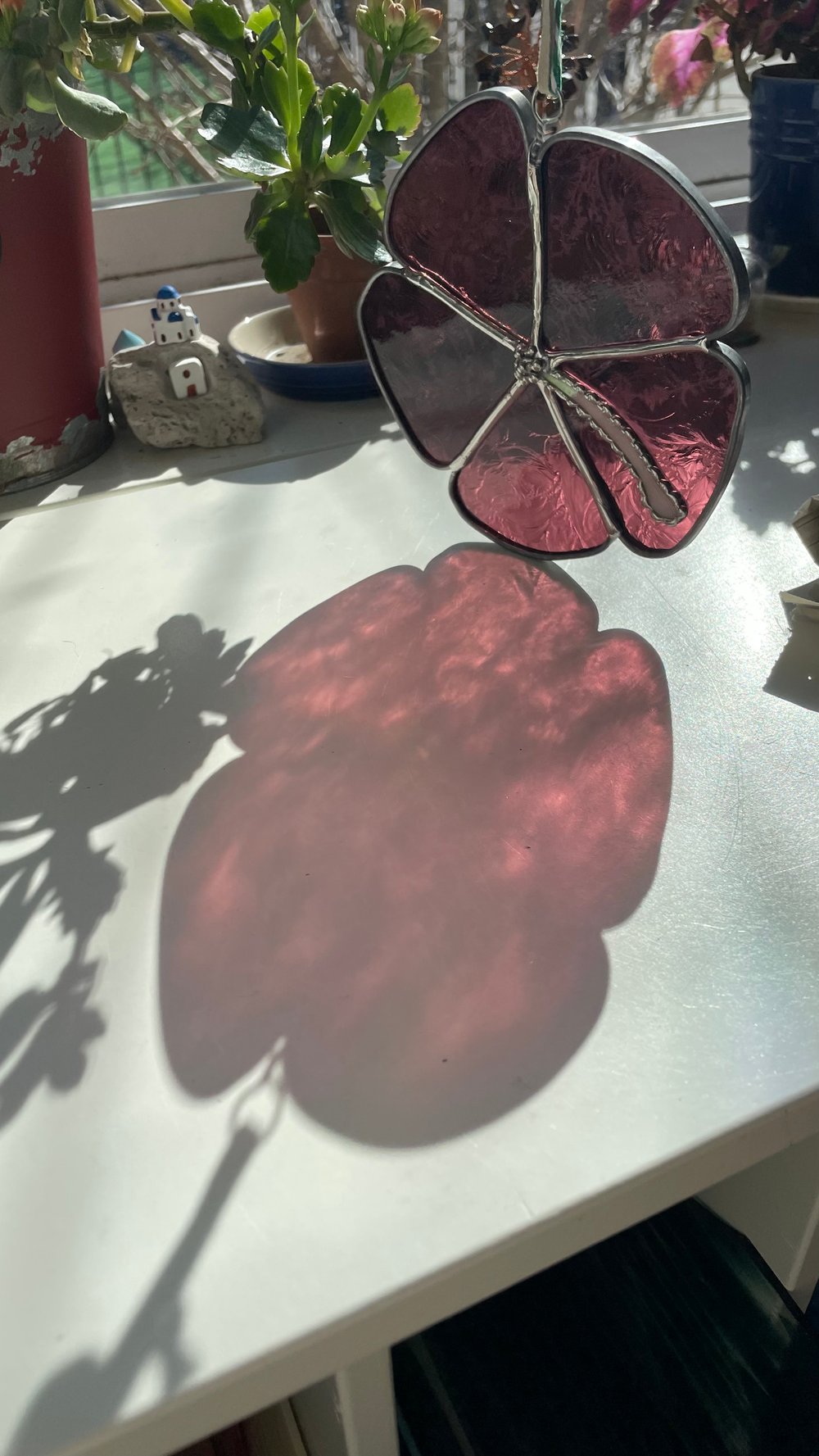 Image of Purple Hibiscus