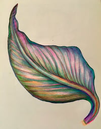 resting leaf 