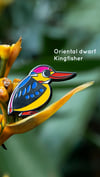 Oriental Dwarf Kingfisher enamel pin