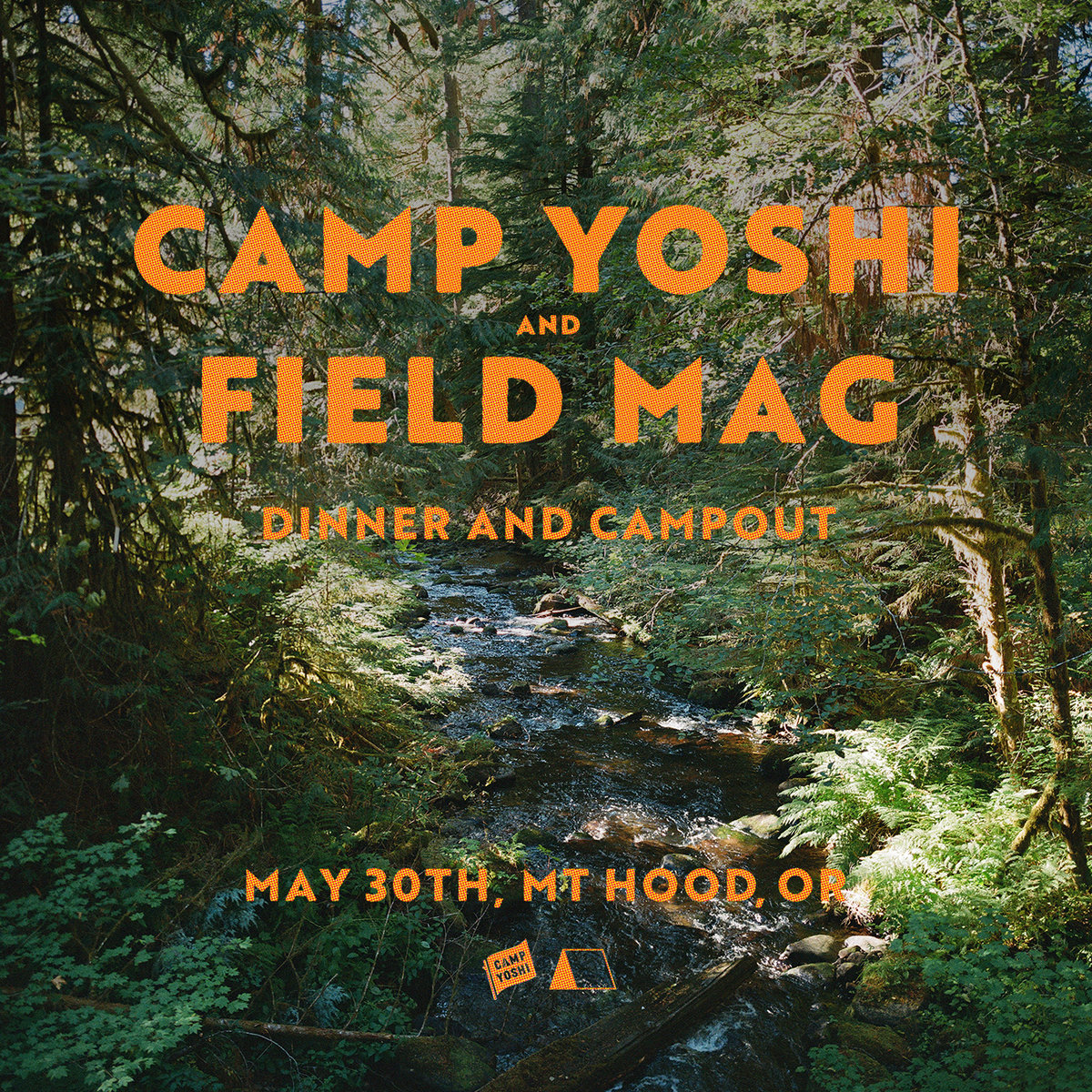 Image of Camp Yoshi x Field Mag Dinner Campout