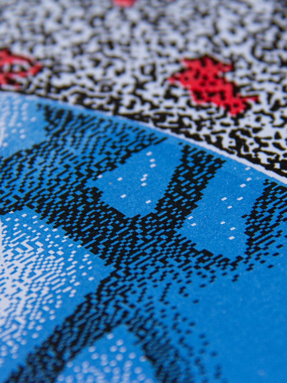 OLHS FRAMED 'VISIONS' PRINT