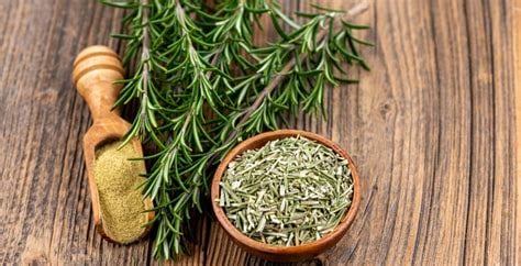 Rosey Mary Leaf Of Rosemary Tea. Sedative-Memory/Concentration-Pain-Immunity Booster-Circulation