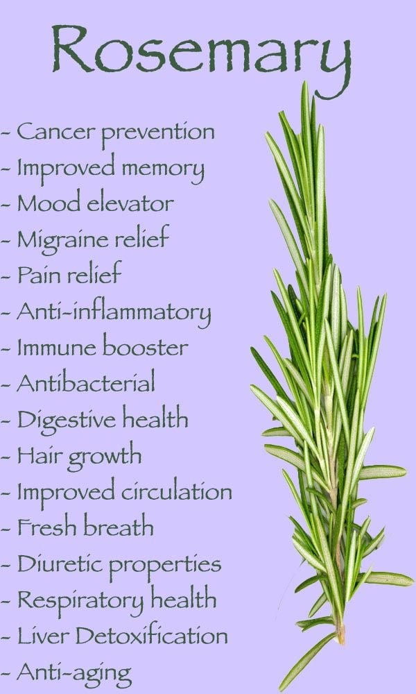 Rosey Mary Leaf Of Rosemary Tea. Sedative-Memory/Concentration-Pain-Immunity Booster-Circulation