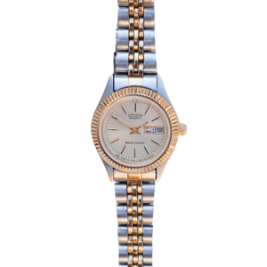 2 tone citizen 