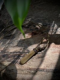 Image 2 of Petrified Kahikatea