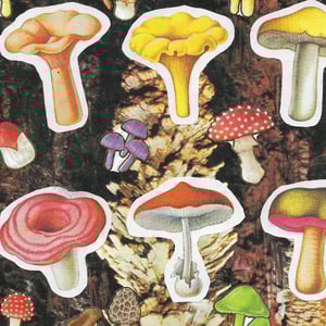 "My Yoga Instructor Sells Mushrooms" Print