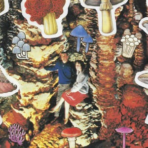 Mushroom Kingdom Print