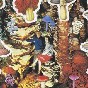 "My Yoga Instructor Sells Mushrooms" Print
