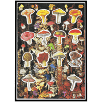Image 1 of "My Yoga Instructor Sells Mushrooms" Print