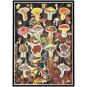 Mushroom Kingdom Print