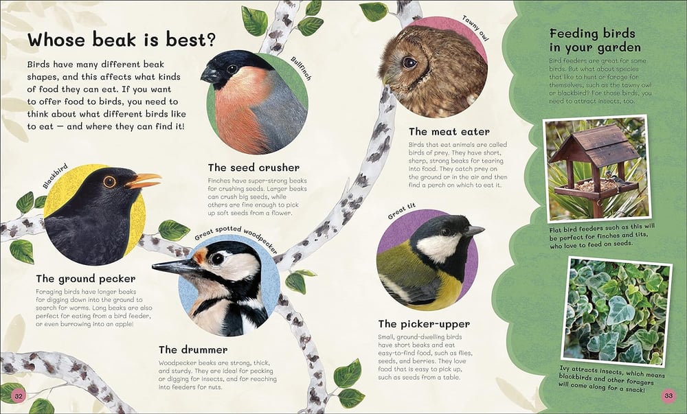 The Children's Book of Birdwatching: Nature-Friendly Tips for Spotting Birds