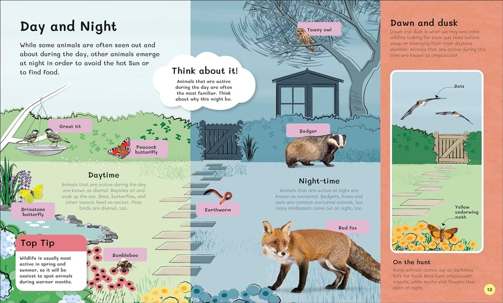 The Children's Book of Wildlife Watching: Tips for Spotting Nature Outdoors