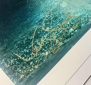 Image of Inevitable Incredible