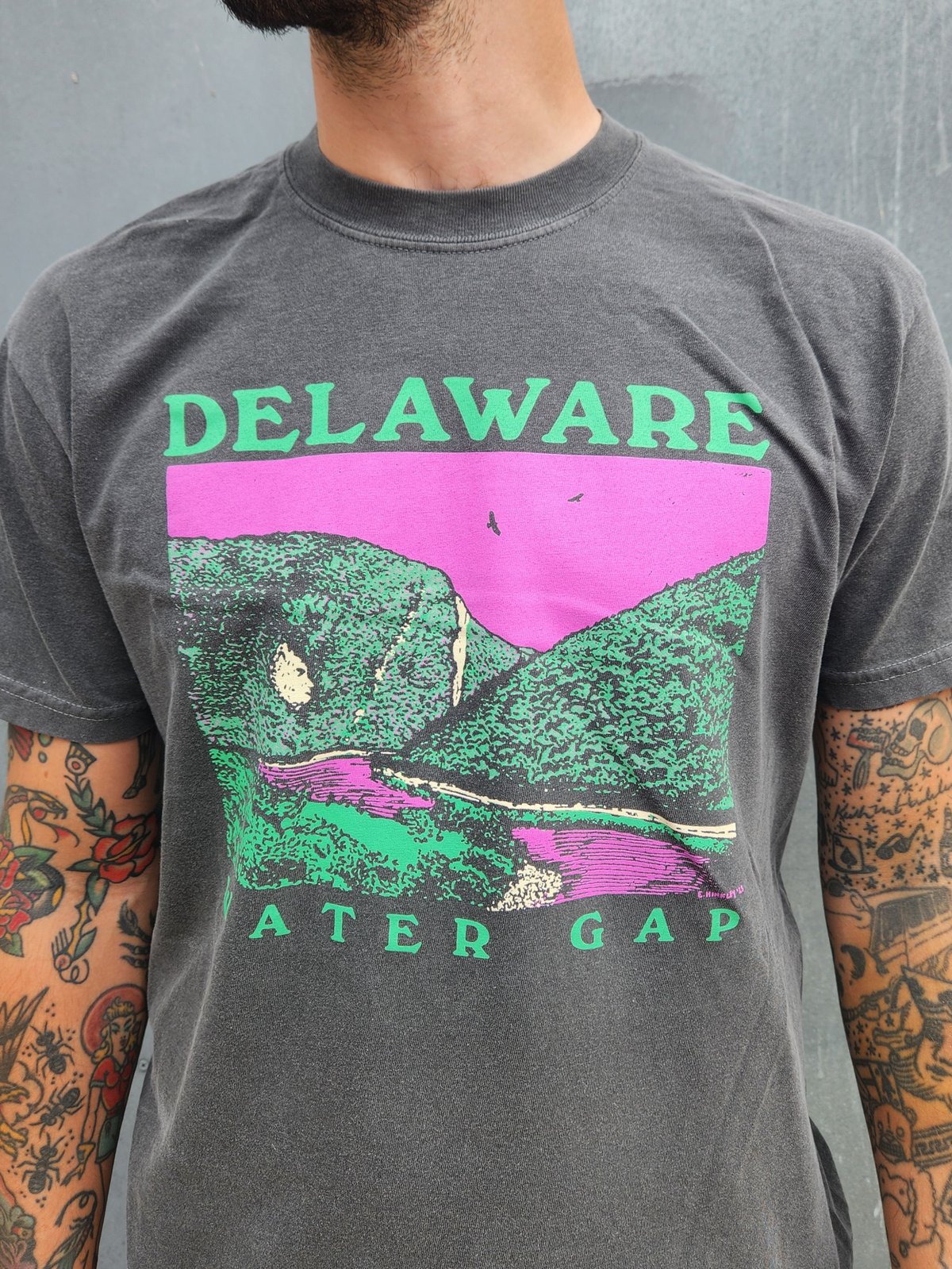 Image of Delaware Water Gap Souvenir T