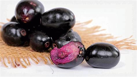 JAMMIN' JAMBOLAN! BERRY POWDER. Diabetes-Purifier-Anemia-Hemoglobin-Parasites-Heart-IBS-Ulcers