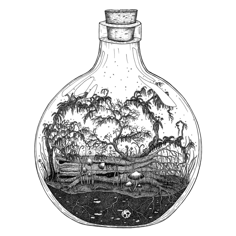 Image of 'Life' Tiny World Bottles - Fine-art print