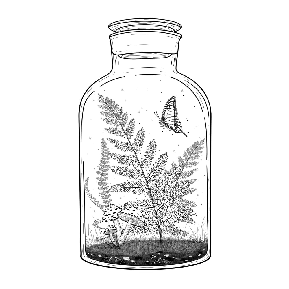 Image of 'Ferns' Tiny World Bottles - Fine-art print