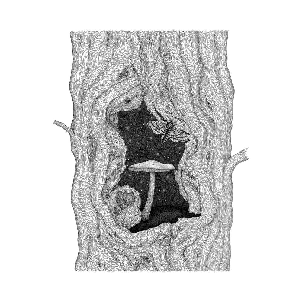 Image of 'Autumn Night' original ink illustration