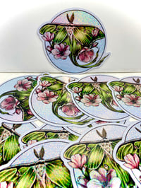 Image 1 of Luna Moth with Cherry Blossoms