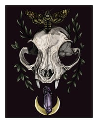 Image 1 of Cat Skull Print 8.5” x 11”