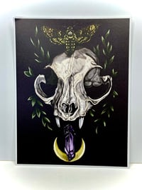 Image 2 of Cat Skull Print 8.5” x 11”