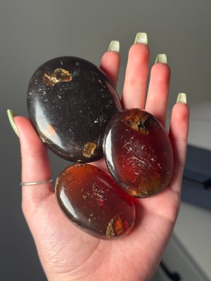 BLUE AMBER PALM STONES -INDONESIA-