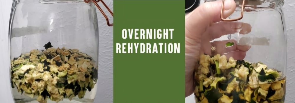 TINI ZUCCHINI! Dehydrated Zucchini Fruit Bits.- Vision-Thyroid-Adrenals-Weight-Circulation