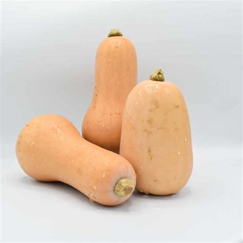 Butter Nutty! Dehydrated Butternut Squash Bits 3 oz.