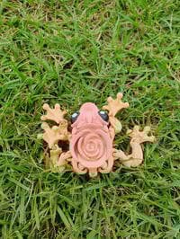 Image 2 of Rose Frogs