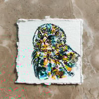 Image 4 of 'Legend' the Owl - Original Artwork 5x5cm