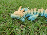 Image 2 of XL Axolotl Dragon