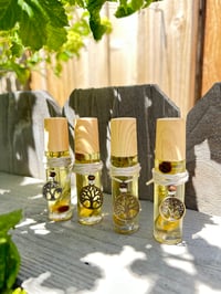 Image 2 of A Walk In The Woods Oil