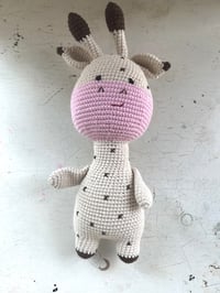 Image 4 of Giraffe Bety