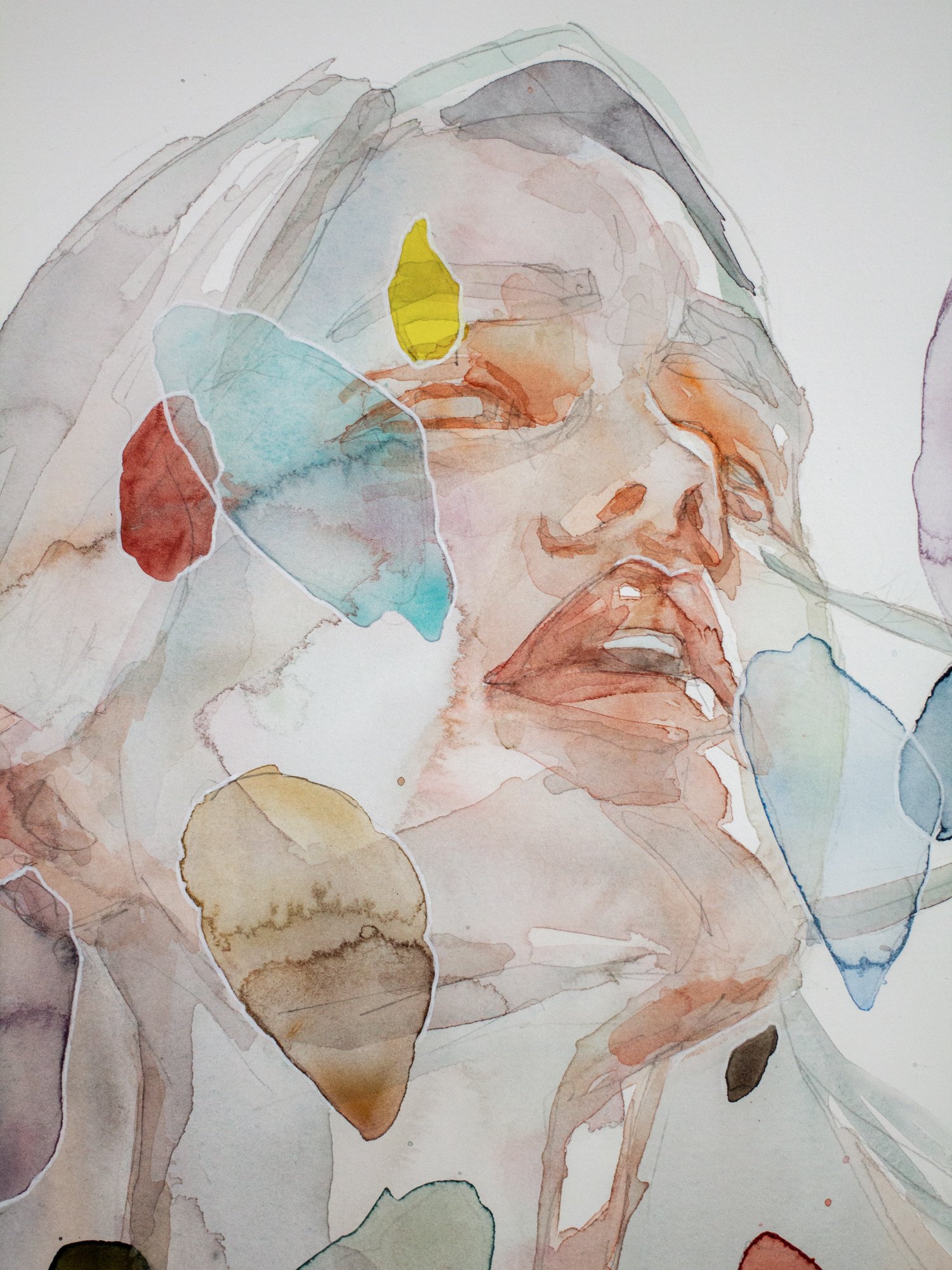 Agnes-Cecile shattered shell (56x77 cm)