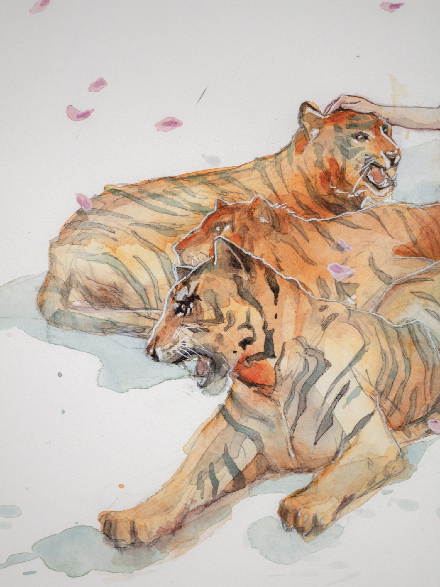 Agnes-Cecile the year of the tiger (60x46 cm)