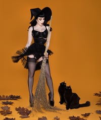 Image 2 of Bettie Page Halloween cats