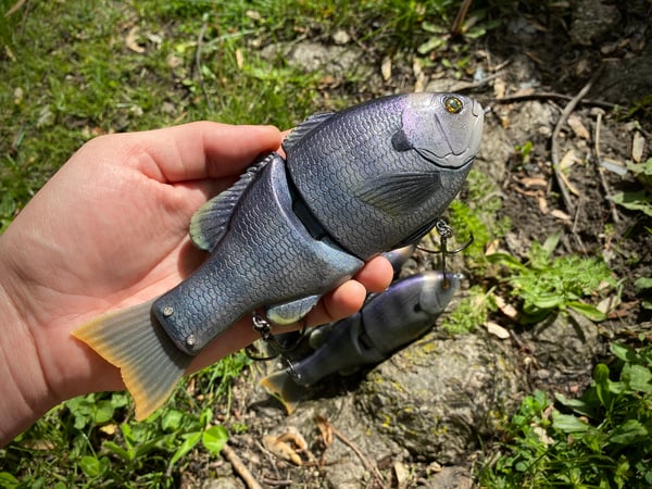 Image of 8” Presence Gill Xslowsink (Coppernose)