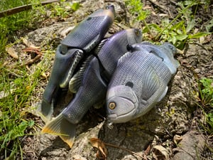 Image of 8” Presence Gill Xslowsink (Coppernose)