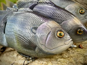 Image of 8” Presence Gill Xslowsink (Coppernose)