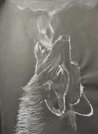 Howl of a wolf