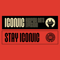 Image 1 of ICONIC Bumper Stickers