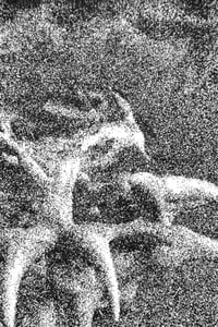 Image 2 of Dissenso Cognitivo