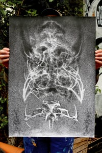 Image 1 of Dissenso Cognitivo