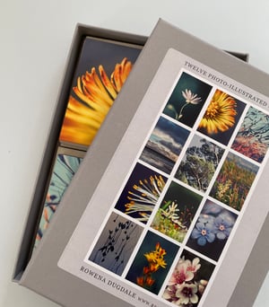 Image of 12 mini notelet cards + envelopes and gift box.