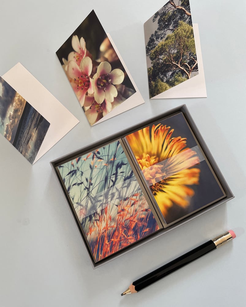 12 mini notelet cards + envelopes and gift box. | Red Ruby Rose