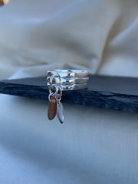 Image 4 of Charmed IV