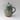 Lidded jug