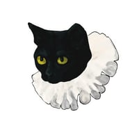 Ruffle Collar Cat