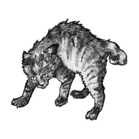 Spicy Kitty